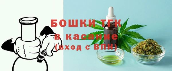 гашик Ладушкин