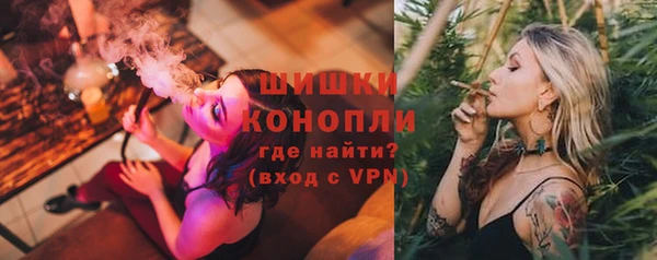spice Лагань
