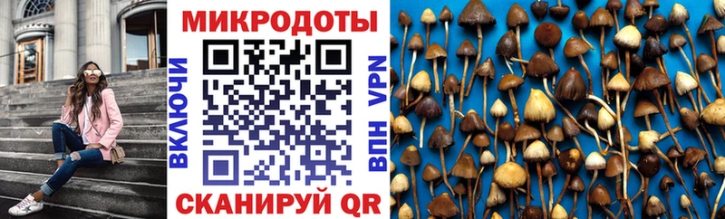 Галлюциногенные грибы мухоморы  Шумиха 